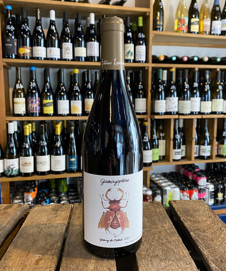 ANTOINE LIENHARDT - GAMAYOPTERA - CÔTEAUX BOURGUIGNONS 2021