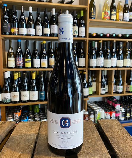 PHILIPPE GAVIGNET - BOURGOGNE PINOT NOIR 2022