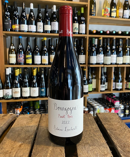 ANTOINE LIENHARDT - PINOT NOIR - BURGUNDY - 2023
