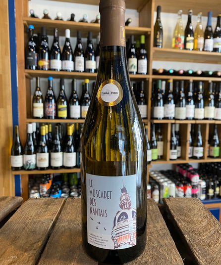 DOMAINE DE LA FOLIETTE - DER MUSCADET VON NANTAIS 2023