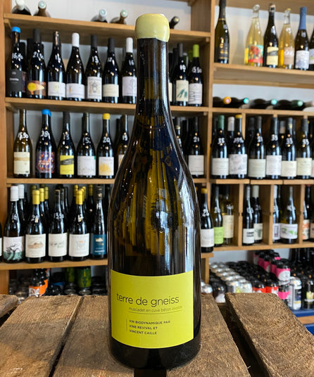 VINCENT CAILLE - TERRE DE GNEISS - MUSCADET - 2020