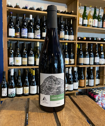 DIE MESLIERES-STEINE - GAMAY-MENHIR - COTEAUX D'ANCENIS - 2021
