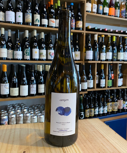 LA FERME DES CONFLUENCES - CANYON - MUSCADET SEVRE ET MAINE - 2023